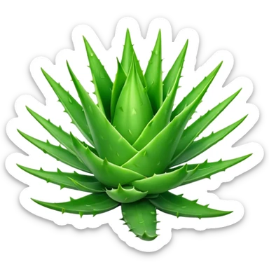 Cinematic Realistic Aloe Vera Emoji, Plump and succulent, with thick, fleshy leaves arranged in a star-like rosette. The vibrant green leaves have a slightly spiky texture, exuding a sense of resilience and healing. Soft glowing outline, capturing the essence of natural wellness and desert vitality in a flourishing aloe vera plant! sticker