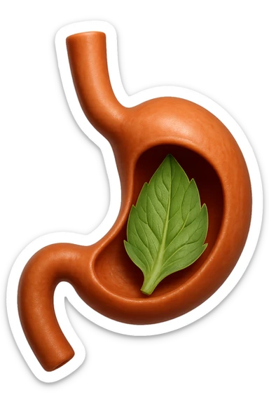 emoji stile iphone 3d di uno stomaco umano con una foglia di carciofo dentro, iperrealistico 4k sticker
