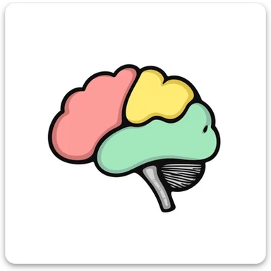 Anatomical brain diagram with colored regions: cerebrum in pink, cerebellum in yellow, brain stem in green, and frontal lobe in light blue. Detailed hand-drawn medical illustration with labeled major parts and lobes. sticker