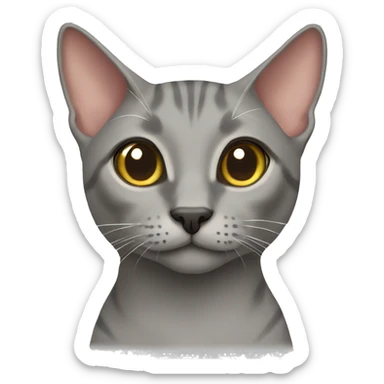 Grey oriental cat  sticker