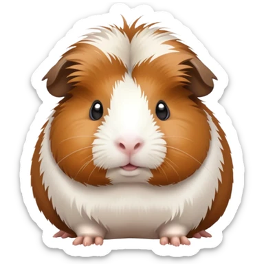 Meerschweinchen  sticker