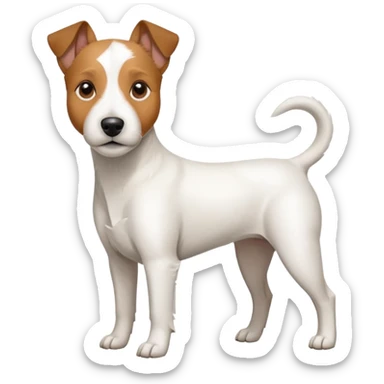 a full body large white parson russell terrier looking dog the size of a kelpie with light brown long ears and a light brown patch on one eye and a large snout sticker