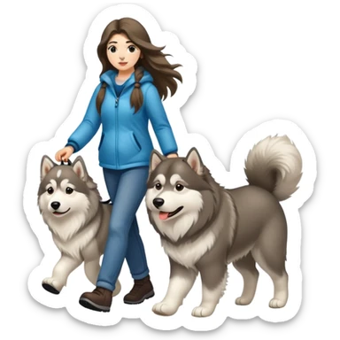 A long-haired girl walking an Alaskan dog sticker