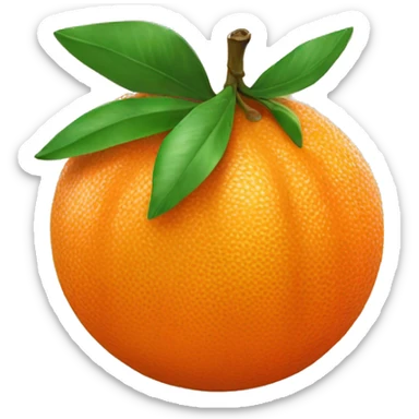 🍊 mandarin fruit  sticker