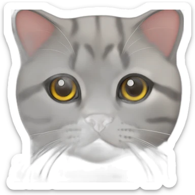 Scottish Fold Tommy helfiger sticker