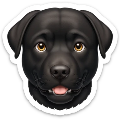 Perro Labrador  negro adulto con la mandíbula  un poco más marcada sticker