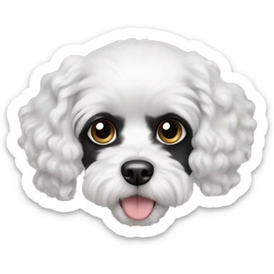 Dog white cavapoo with two black ears and black fur around one eye sticker