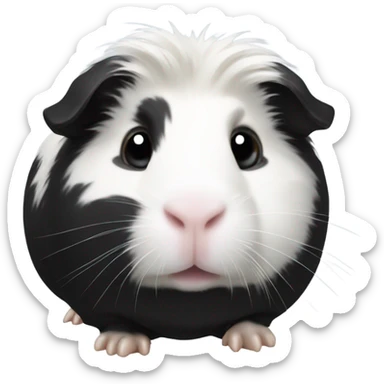 Black and White guinea pig sticker