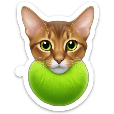 Abyssinian cat chews a green fur ball sticker