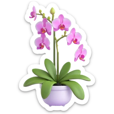 Elegant phalaenopsis moth orchid with detailed white and pink petals and green stem sticker