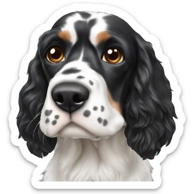 black and white english cocker spaniel with nose spots  sticker