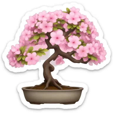 sakura bonsai tree sticker