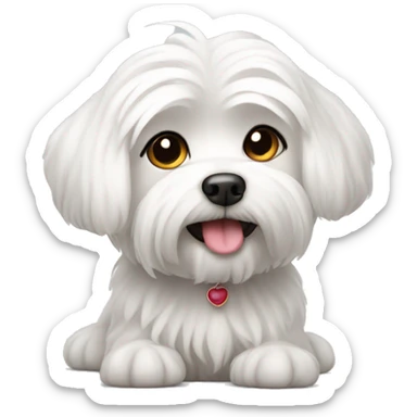 Cute maltese sticker