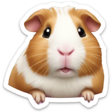 Guineapig in a pink hammok sticker