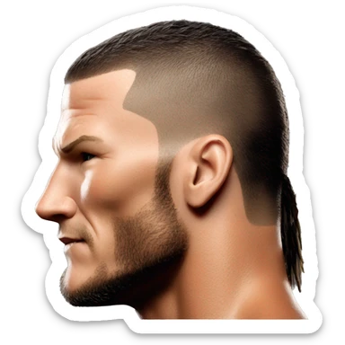 randy orton sticker