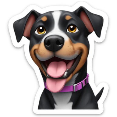 Black pitbull Australian cattle dog who is really excited you came home sticker