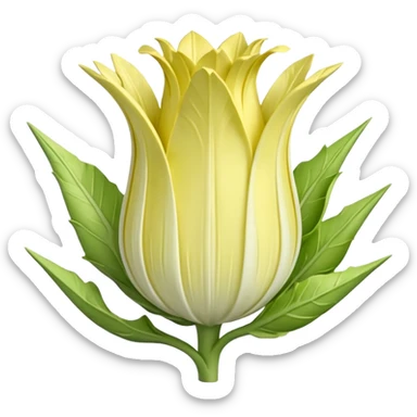 whole chicory, compact and pointed, pale yellow to light green, creamy white base, smooth and waxy, crisp, subtle veining, 3D-rendered, minimal, no faces, transparent background sticker
