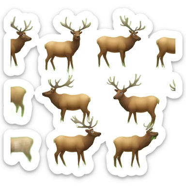 Elk in field sticker