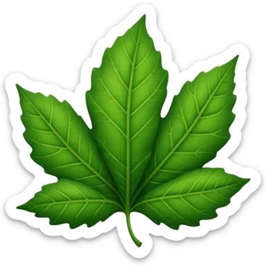 hoja fotografia sticker
