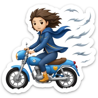 storm rider sticker