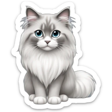 full body of cute gray and white long haired ragdoll cat sticker