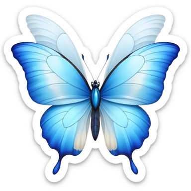 White tulip and blue morpho sticker