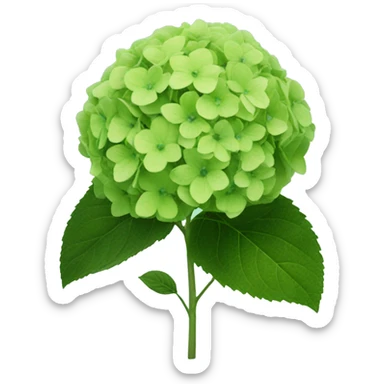 A green hydrangea sticker
