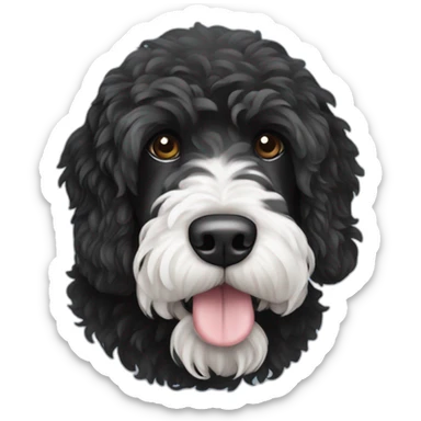black Portuguese water dog with white chin sticker