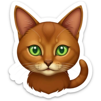 Abyssinian cat  with green eyes sticker