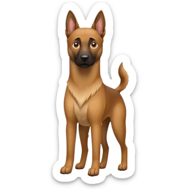 Belgian malinois dogs sticker