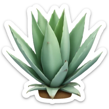 Agave  sticker