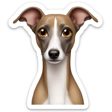 Italian greyhound sticker