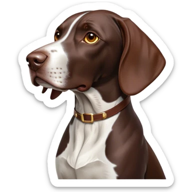 Cinematic Noble German Pointer Portrait Emoji, Poised and regal, with a lean, athletic build and a sleek, short coat in liver and white, deep-set soulful brown eyes, Simplified yet sharp and sophisticated features, highly detailed, glowing with a soft, dignified glow, high shine, intelligent and driven, stylized with an air of determination, focused and attentive, soft glowing outline, capturing the essence of a watchful and commanding hunter, so majestic it feels as though it could sprint out of the screen with effortless authority! sticker