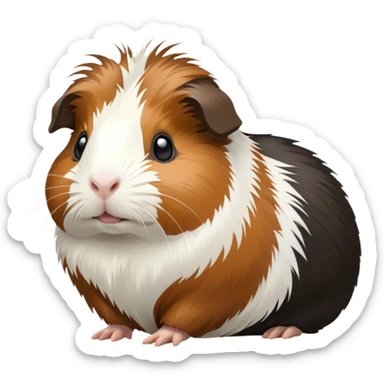 Black brown and white guinea pig sticker