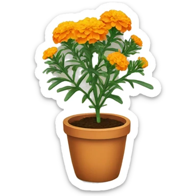 Marigold plant  sticker