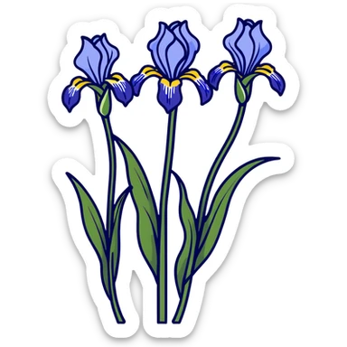 Elegant blue iris flower showing characteristic iris form with three drooping falls and three upright standards, with decorative long leaves sticker