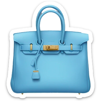 Birkin bag blue sticker
