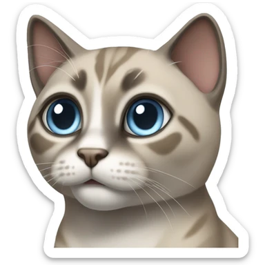 Thai breed realistic adult cat with a light cream-brown body, full dark gray face, ears, and paws. Short fur, sharp ears, striking light blue eyes  sticker