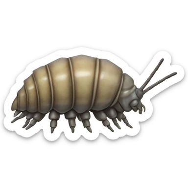 Isopod  sticker