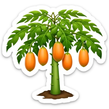 Papaya tree sticker
