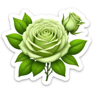 big bouquet Soft Green Tea Rose flower and bud, luxuriant, leaf, bud sticker