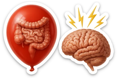 intestino umano anatomico chiuso in un palloncino rosso che simboleggia gonfiore, accanto un cervello anatomico con fulmini vicino che simboleggiano "stress", iperrealistico 4k sticker