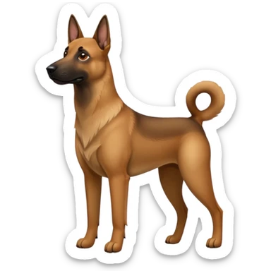 Belgian malinois dogs sticker