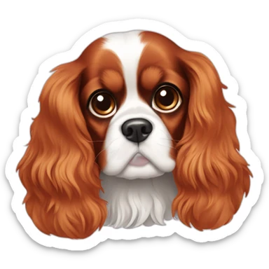 Cavalier King Charles tricolor  sticker