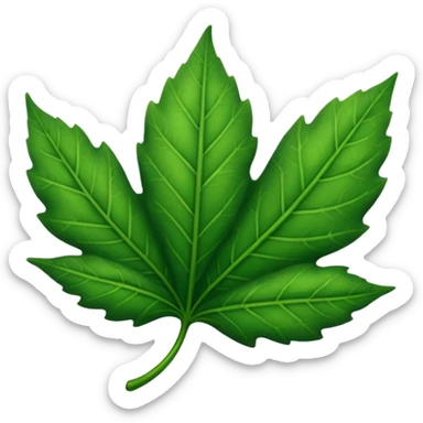 hoja fotografia sticker