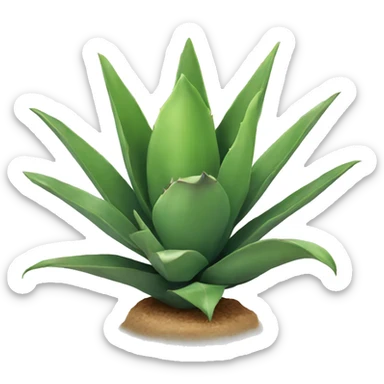 Agave sticker