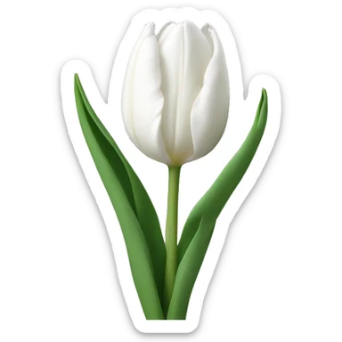 White tulips sticker