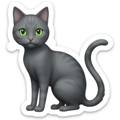 full body view of beautiful female solid dark grey cat with green eyes, grey face, white toes/paws and white patch on her chest sticker
