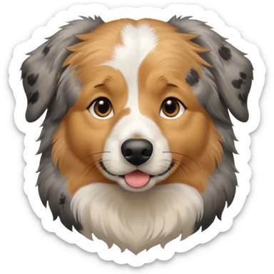 Australian Shepherd golden retriever tan eyebrows around nose and mouth black and speckled grey fur on chest. sticker