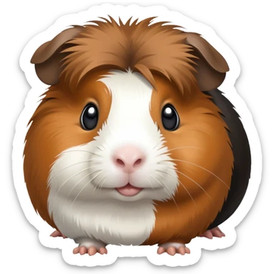 Black brown and white guinea pig sticker